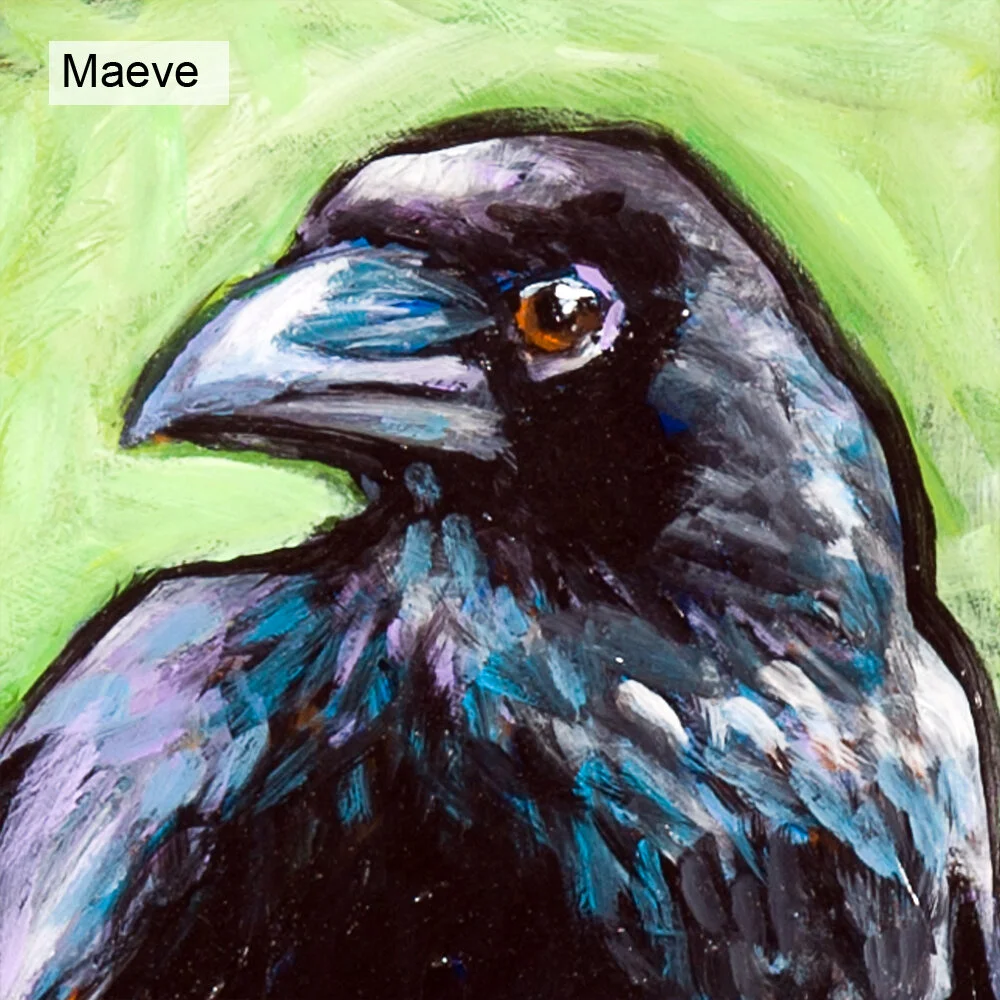 Crow and Raven Portraits — Greta Sandquist - Ginger Street Studio